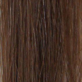 Grace Remy 2 Clip Weft Hair Extension -