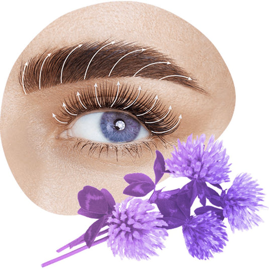Mayamy Oh My Grow Lash Growth Serum - Beautopia Hair & Beauty