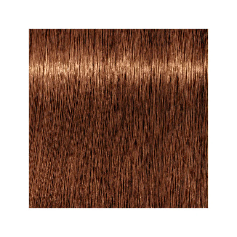 Load image into Gallery viewer, Schwarzkopf Igora Royal Permanent Colour 7-76 Medium Blonde Copper Chocolate 60ml
