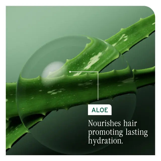 Load image into Gallery viewer, Matrix Biolage Hydrasource Daily Leave-in Cream 200ml
