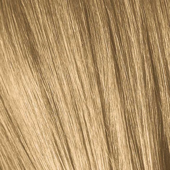 Load image into Gallery viewer, Schwarzkopf Igora Royal Permanent Colour 9-00 Extra Light Blonde Natural Extra 60ml
