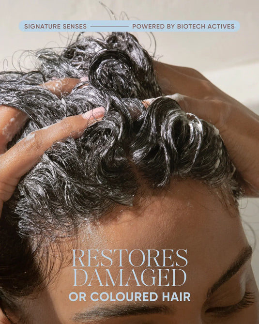 NAK Signature Senses Ceramide Restore Shampoo 350ml