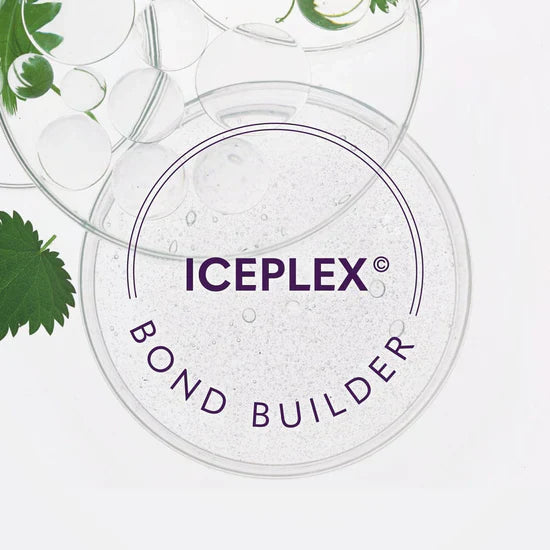 Load image into Gallery viewer, Natural Look Silver Screen Ice Blonde Conditioner 300ml
