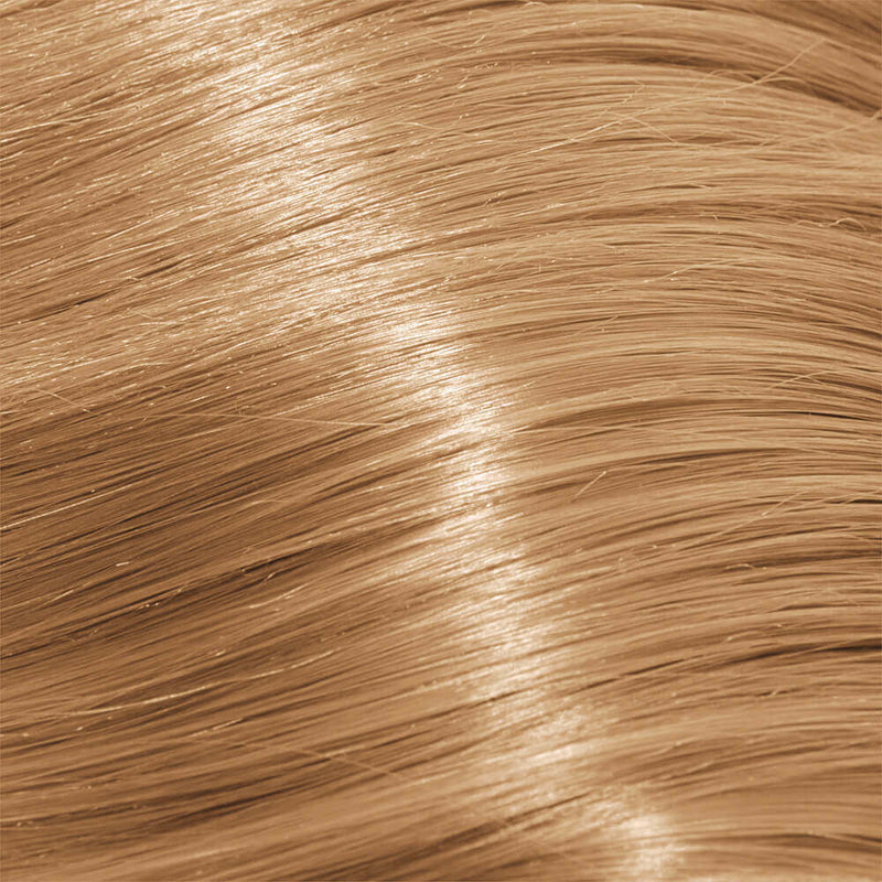Load image into Gallery viewer, Schwarzkopf Igora Royal Permanent Colour Absolutes 9-50 Extra Light Blonde Gold Natural 60ml
