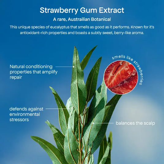 Bondi Boost Strawberry Gum Miracle Hair Mask 250ml
