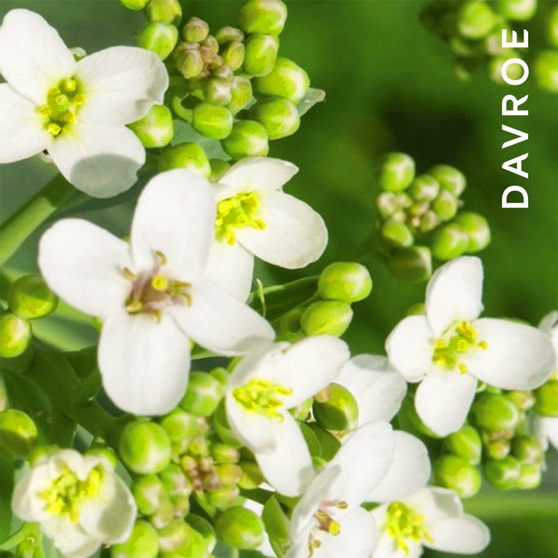 Load image into Gallery viewer, Davroe Smoothing Balm 150ml
