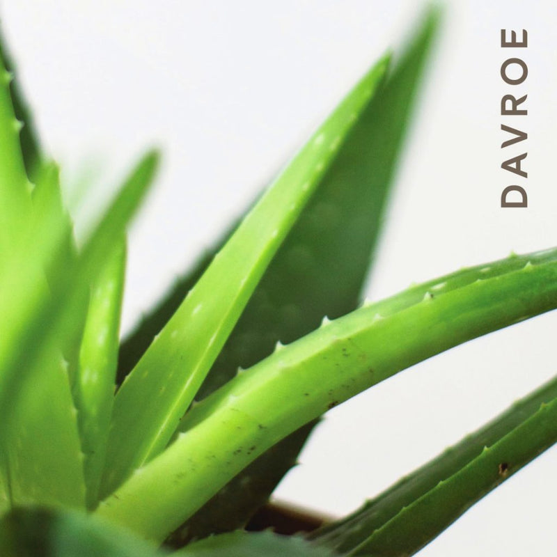 Load image into Gallery viewer, Davroe Smooth Senses Anti-Frizz Shampoo &amp; Conditioner 325ml
