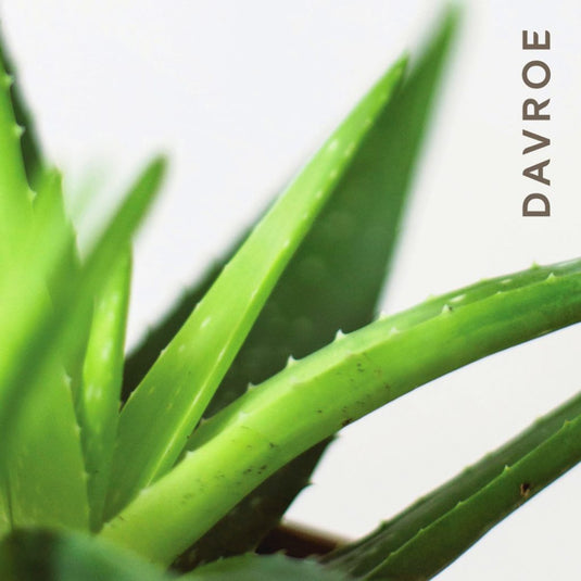 Davroe Smooth Senses Anti-Frizz Shampoo 1 Litre