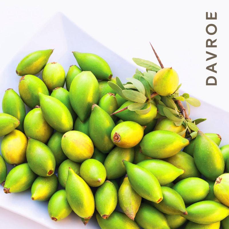 Load image into Gallery viewer, Davroe Argan Oil Instant Treatment 95ml
