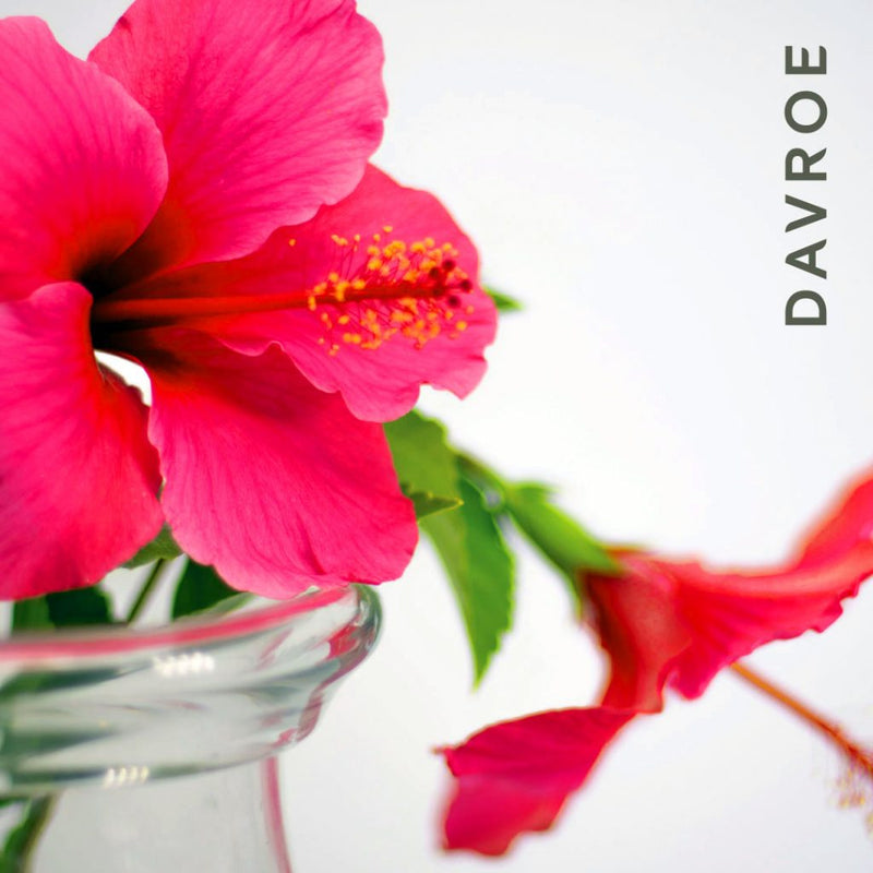 Load image into Gallery viewer, Davroe Repair Senses Revitalizing Shampoo 1 Litre
