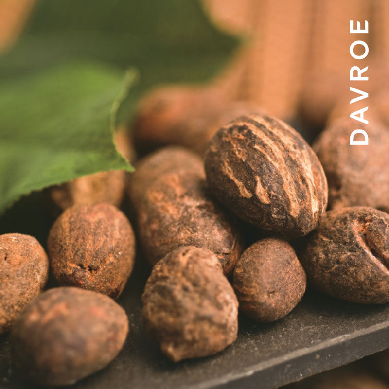 Load image into Gallery viewer, Davroe MCT Moisture Conditioning Treatment 1 Litre
