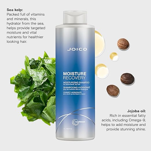 Load image into Gallery viewer, Joico Moisture Recovery Shampoo 1 Litre
