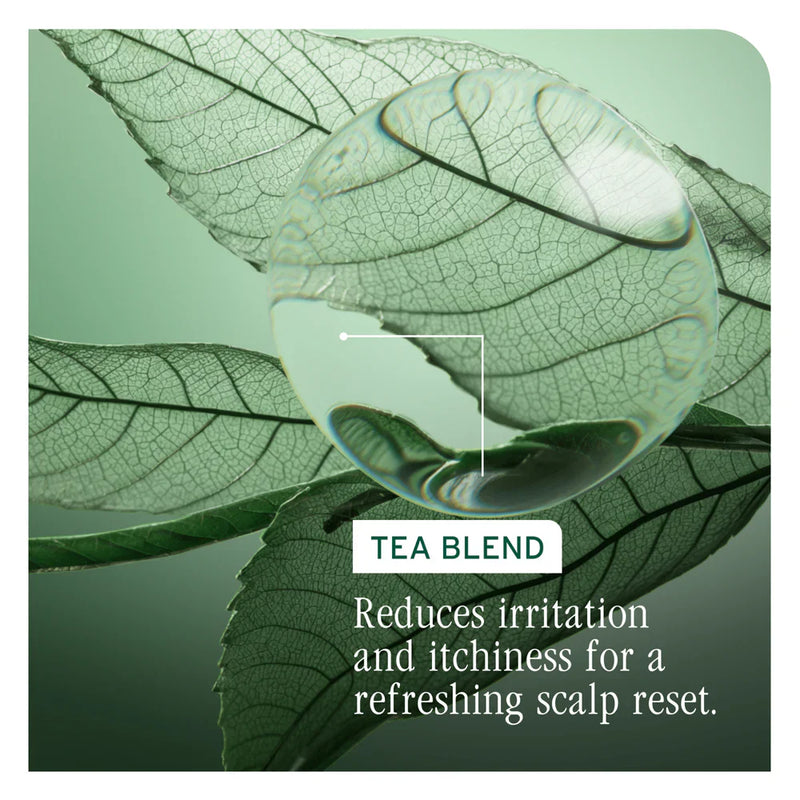 Load image into Gallery viewer, Matrix Biolage Scalp Sync Calming Shampoo 1 Litre
