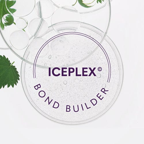Load image into Gallery viewer, Natural Look Silver Screen Ice Blonde Shampoo &amp; Conditioner 1 Litre
