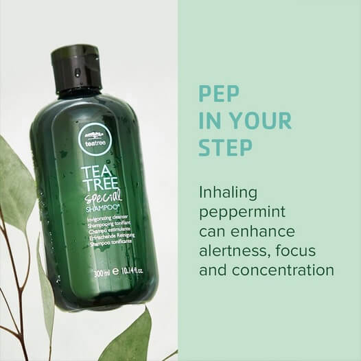 Load image into Gallery viewer, Paul Mitchell Tea Tree Special Shampoo 300ml - Salon Style
