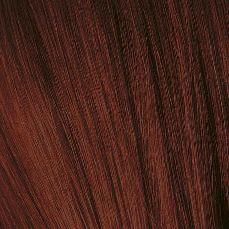 Load image into Gallery viewer, Schwarzkopf Igora Royal Permanent Colour 4-88 Medium Brown Red Extra 60ml
