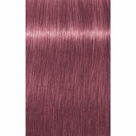 #Schwarzkopf Igora Vibrance Demi-Permanent Colour 9,5-98 Violet Red Toner 60ml