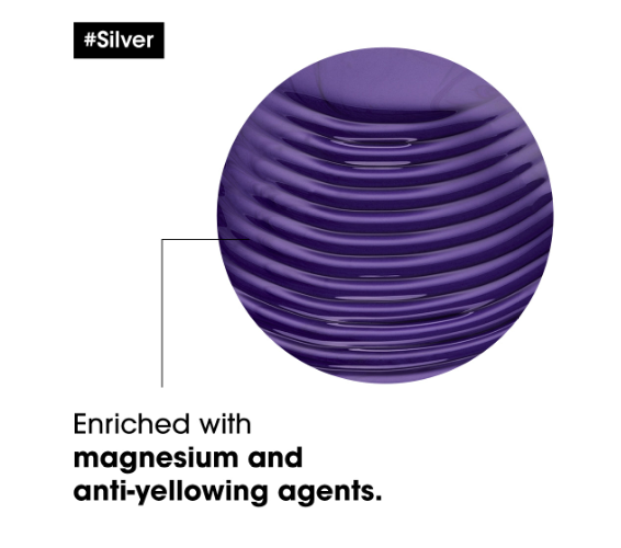 Load image into Gallery viewer, L&#39;oreal Professionnel Silver Shampoo 300ml
