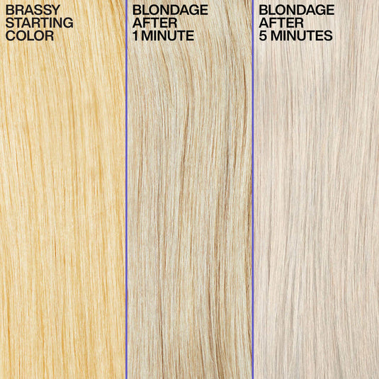 Redken Color Extend Blondage Purple Shampoo 300ml